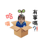 weng family Miss Qianjin（個別スタンプ：3）