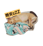 Dog Money happy life（個別スタンプ：2）