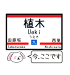 九州の鹿児島本線 今この駅だよ！タレミー3（個別スタンプ：6）