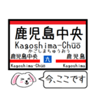 九州の鹿児島本線 今この駅だよ！タレミー3（個別スタンプ：33）