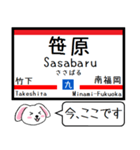 九州の鹿児島本線 今この駅だよ！タレミー2（個別スタンプ：3）