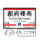 九州の鹿児島本線 今この駅だよ！タレミー2（個別スタンプ：8）