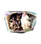 Sugar Glider family（個別スタンプ：2）