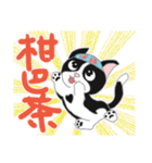 Tuxedo Cat(Daily buzzwords)（個別スタンプ：3）