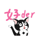 Tuxedo Cat(Daily buzzwords)（個別スタンプ：4）