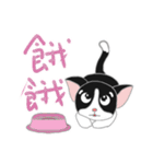 Tuxedo Cat(Daily buzzwords)（個別スタンプ：6）