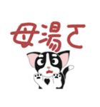 Tuxedo Cat(Daily buzzwords)（個別スタンプ：8）