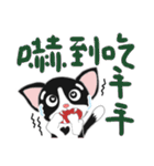 Tuxedo Cat(Daily buzzwords)（個別スタンプ：9）