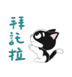 Tuxedo Cat(Daily buzzwords)（個別スタンプ：16）