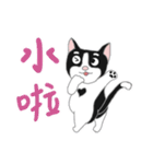 Tuxedo Cat(Daily buzzwords)（個別スタンプ：19）