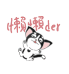 Tuxedo Cat(Daily buzzwords)（個別スタンプ：20）