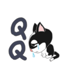 Tuxedo Cat(Daily buzzwords)（個別スタンプ：22）