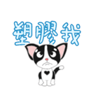 Tuxedo Cat(Daily buzzwords)（個別スタンプ：24）