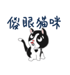 Tuxedo Cat(Daily buzzwords)（個別スタンプ：25）