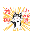 Tuxedo Cat(Daily buzzwords)（個別スタンプ：29）