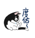 Tuxedo Cat(Daily buzzwords)（個別スタンプ：33）