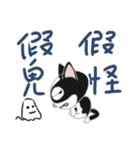 Tuxedo Cat(Daily buzzwords)（個別スタンプ：38）