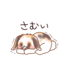 ぴょんぴょんフレンズ（個別スタンプ：16）