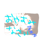 毎日使う言葉。（個別スタンプ：6）