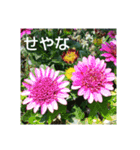 関西弁の美しい花たち（個別スタンプ：3）