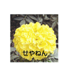 関西弁の美しい花たち（個別スタンプ：4）