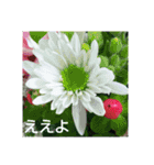 関西弁の美しい花たち（個別スタンプ：5）