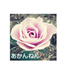 関西弁の美しい花たち（個別スタンプ：15）