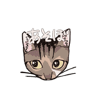 わたしとねこ（個別スタンプ：29）