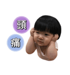 Small dumplings life language 2（個別スタンプ：13）