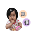 Small dumplings life language 2（個別スタンプ：17）