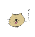 猫ちゃん NECO（個別スタンプ：14）