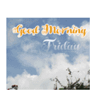 good morning wording（個別スタンプ：6）