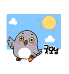 Hello~ Chanpigeon（個別スタンプ：1）