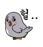 Hello~ Chanpigeon（個別スタンプ：6）