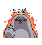 Hello~ Chanpigeon（個別スタンプ：16）