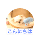 パンの生活（個別スタンプ：2）