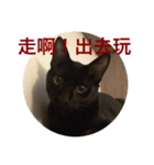 Black cat............（個別スタンプ：8）