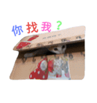 My love Mao1（個別スタンプ：18）