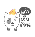 kaew dog face（個別スタンプ：20）