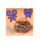 My Lovely Horned Frogs Murmur Again（個別スタンプ：2）