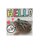 My Lovely Horned Frogs Murmur Again（個別スタンプ：7）