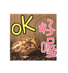 My Lovely Horned Frogs Murmur Again（個別スタンプ：9）