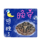 My Lovely Horned Frogs Murmur Again（個別スタンプ：12）