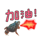 My Lovely Horned Frogs Murmur Again（個別スタンプ：15）