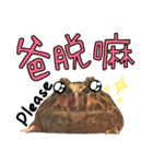 My Lovely Horned Frogs Murmur Again（個別スタンプ：21）