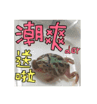 My Lovely Horned Frogs Murmur Again（個別スタンプ：28）