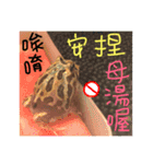 My Lovely Horned Frogs Murmur Again（個別スタンプ：34）