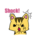 Squint Cat（個別スタンプ：4）