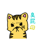 Squint Cat（個別スタンプ：5）