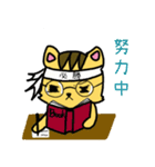 Squint Cat（個別スタンプ：7）